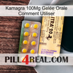 Kamagra 100Mg Gelée Orale Comment Utiliser new06